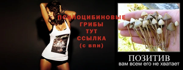 ПСИЛОЦИБИНОВЫЕ ГРИБЫ Надым